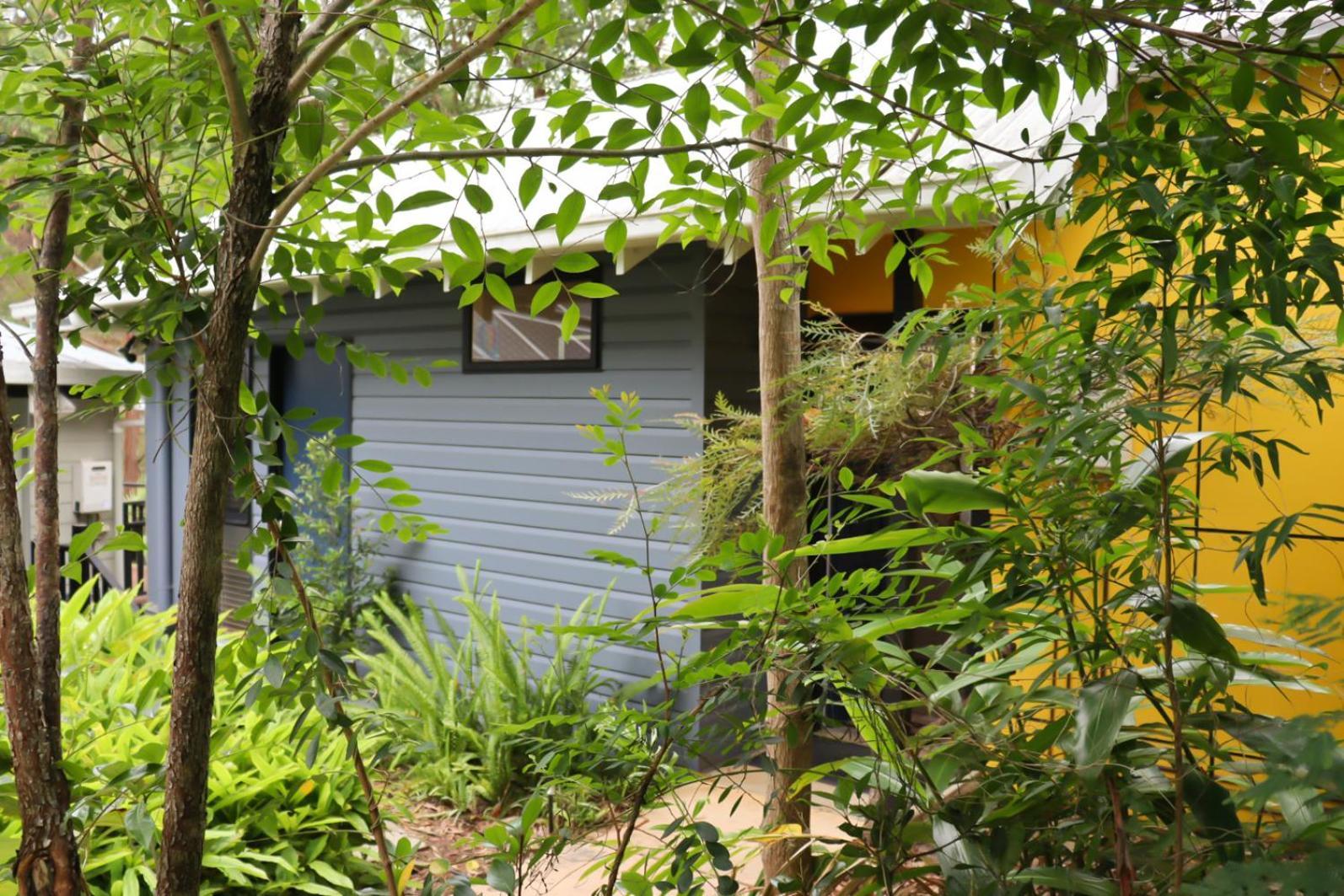 Sky Island Studios Mount Tamborine Zimmer foto